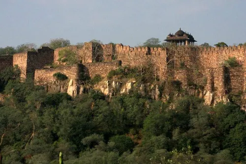 Ranthambore National Park, Rajasthan