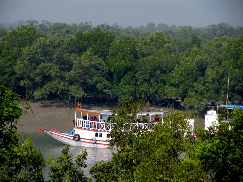 Sundarbans National Park, West Bengal